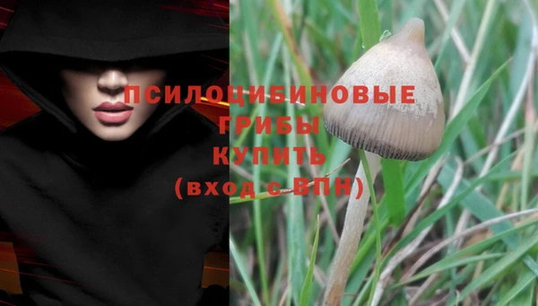 кокаин премиум Бородино