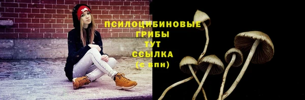 jwh Каменск-Шахтинский