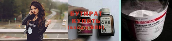 прущие грибы Каменногорск