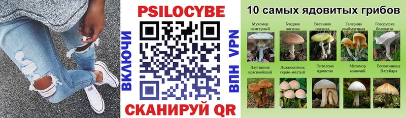 Псилоцибиновые грибы мицелий  Княгинино 