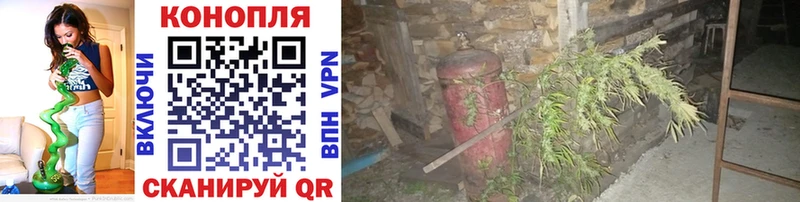 Конопля планчик  продажа наркотиков  Княгинино 